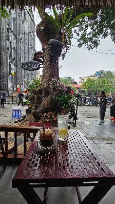 9981 Coffee - Wine Tapas | Cafe nhà thờ lớn Hà Nội photo 7 in Thao Dien
