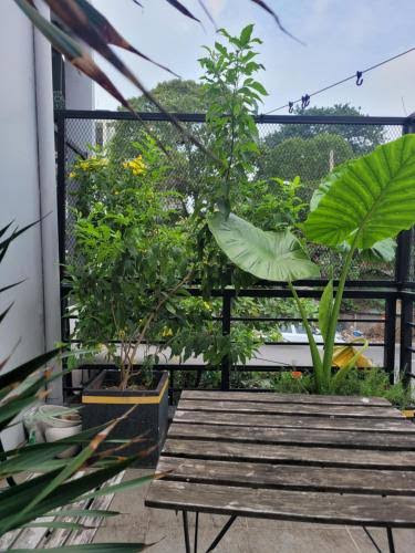 AGK House - Homestay Bình Thạnh photo 3 in Thao Dien