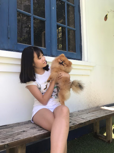 Animal Doctors International Hospital photo 5 in Thao Dien