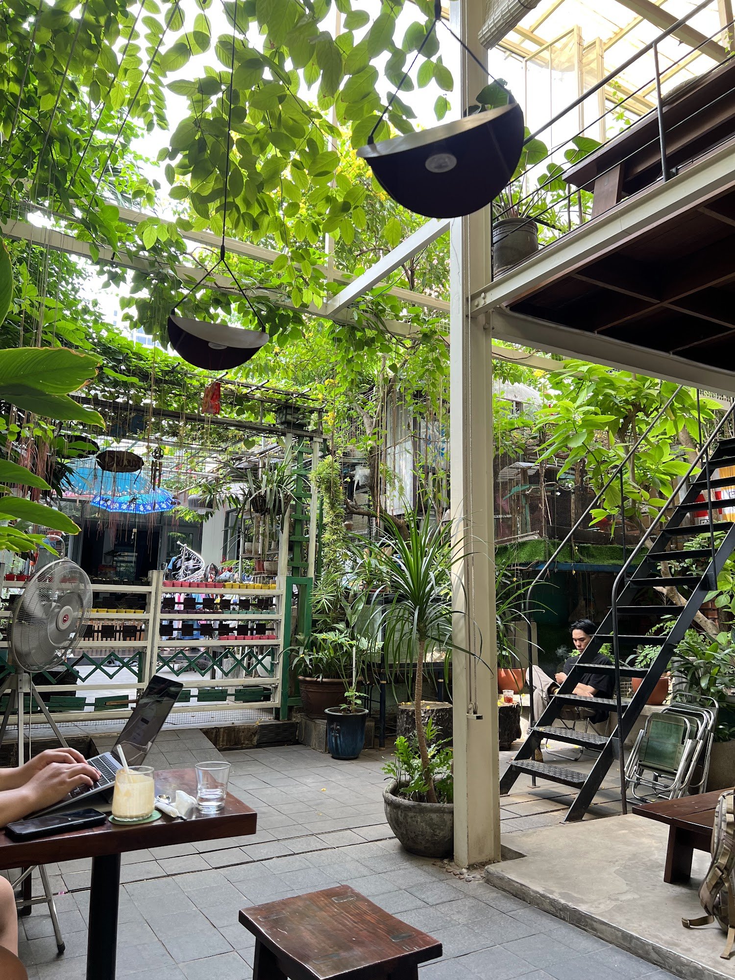 The image depicts an interior space of a venue in Thao Dien, Saigon, characterized by a lush, green environment with abundant potted plants and hangin