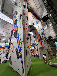 Arch Rock Climbing Hanoi photo 5 in Thao Dien