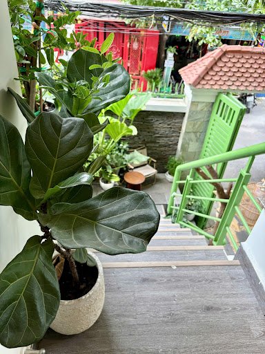 The image shows a view from an exterior staircase leading up to what appears to be the entrance of a cafe or restaurant in Thao Dien, Saigon. The focu