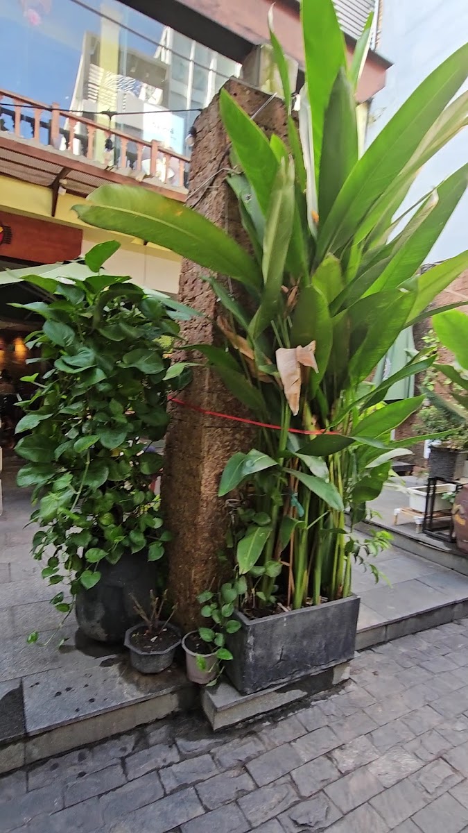 Bắc Việt Coffee photo 7 in Thao Dien