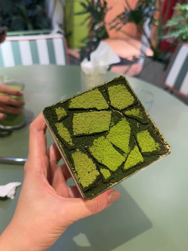 Matcha Sponge Cake or Pudding