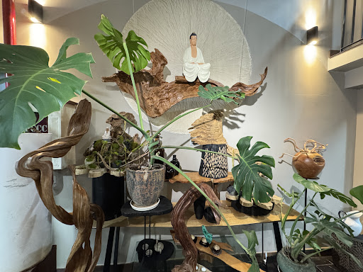 Bazango Furniture photo 4 in Thao Dien