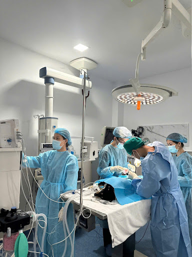 Belwee International Animal Hospital photo 3 in Thao Dien