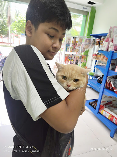 Bệnh Viện Thú Y PetCare 1 (PetCare Veterinary Hospital) photo 3 in Thao Dien