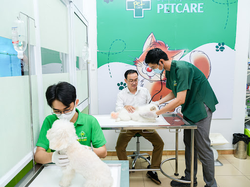 Bệnh Viện Thú Y PetCare 1 (PetCare Veterinary Hospital) in Saigon