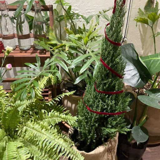 béo. cafe — Thảo Điền photo 5 in Thao Dien