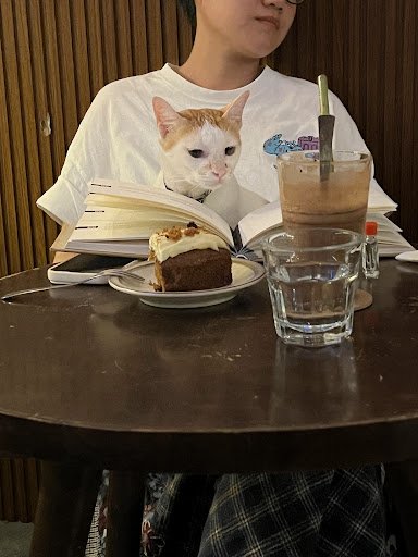 Bluish Cafe photo 3 in Thao Dien