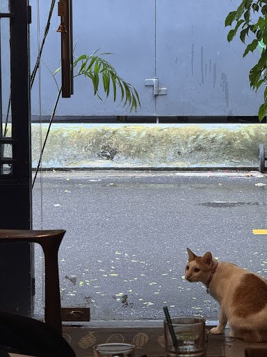 Bluish Cafe photo 4 in Thao Dien