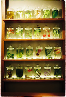 Bo / en • Cocktail Atelier photo 6 in Thao Dien