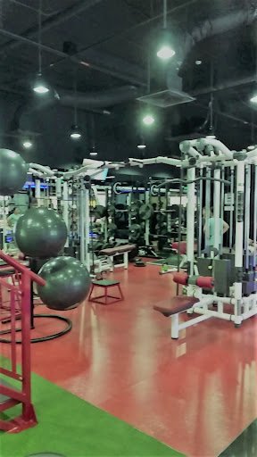 The image depicts an indoor gym environment featuring various exercise equipment such as weight machines and large black fitness balls suspended from 