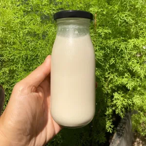 Organic cashew nut coconut milk