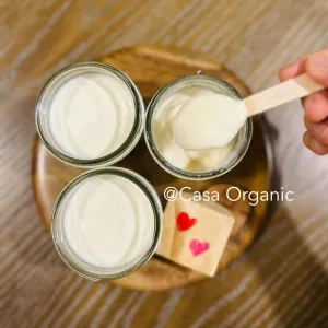 Organic Cheese Yogurt at Casa Organic Kitchen in Ha Noi