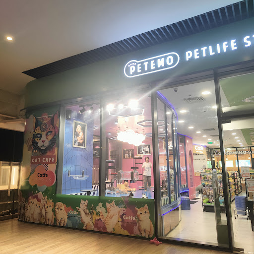 CATFE Estella cat cafe photo 5 in Thao Dien