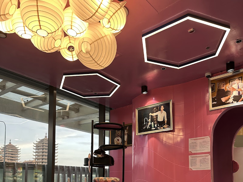 CATFE Estella cat cafe - Cafes & Coffee in Thao Dien