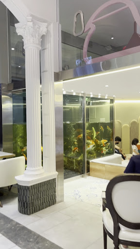 CCOMAYA THẢO ĐIỀN (CAFE & NHÀ HÀNG) photo 8 in Thao Dien