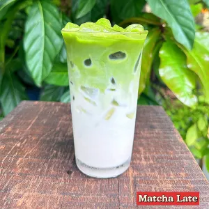 Green Tea Latte