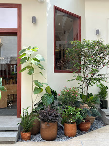 The image shows an exterior view of a building's facade featuring several potted plants in terracotta pots placed on gravel, outside the entrance area
