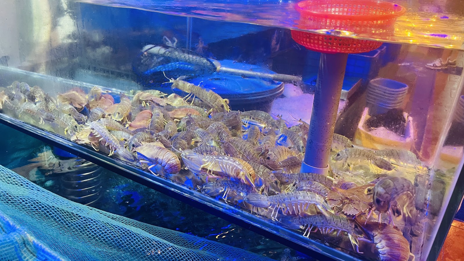 Chợ Hải Sản 79 Seafood restaurant in Ho Chi Minh City - exterior