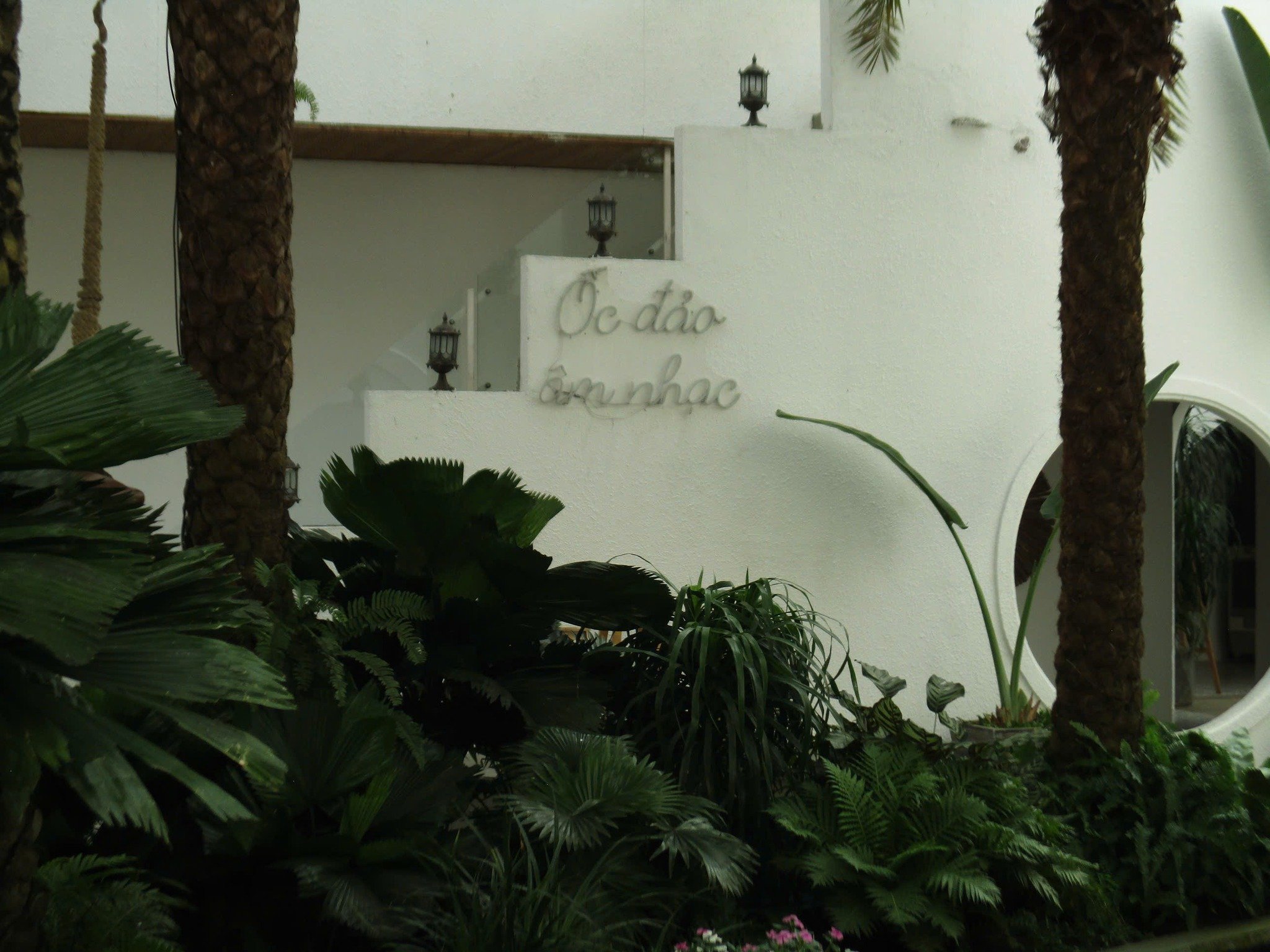 Dalaland Coffee photo 8 in Thao Dien