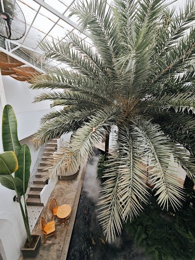 Dalaland Coffee photo 16 in Thao Dien