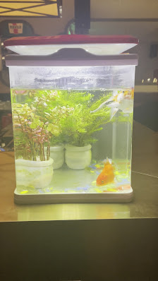 DESTINY Cocktail Bar photo 1 in Thao Dien