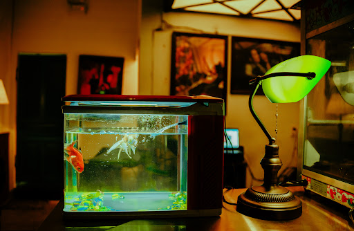 DESTINY Cocktail Bar photo 7 in Thao Dien