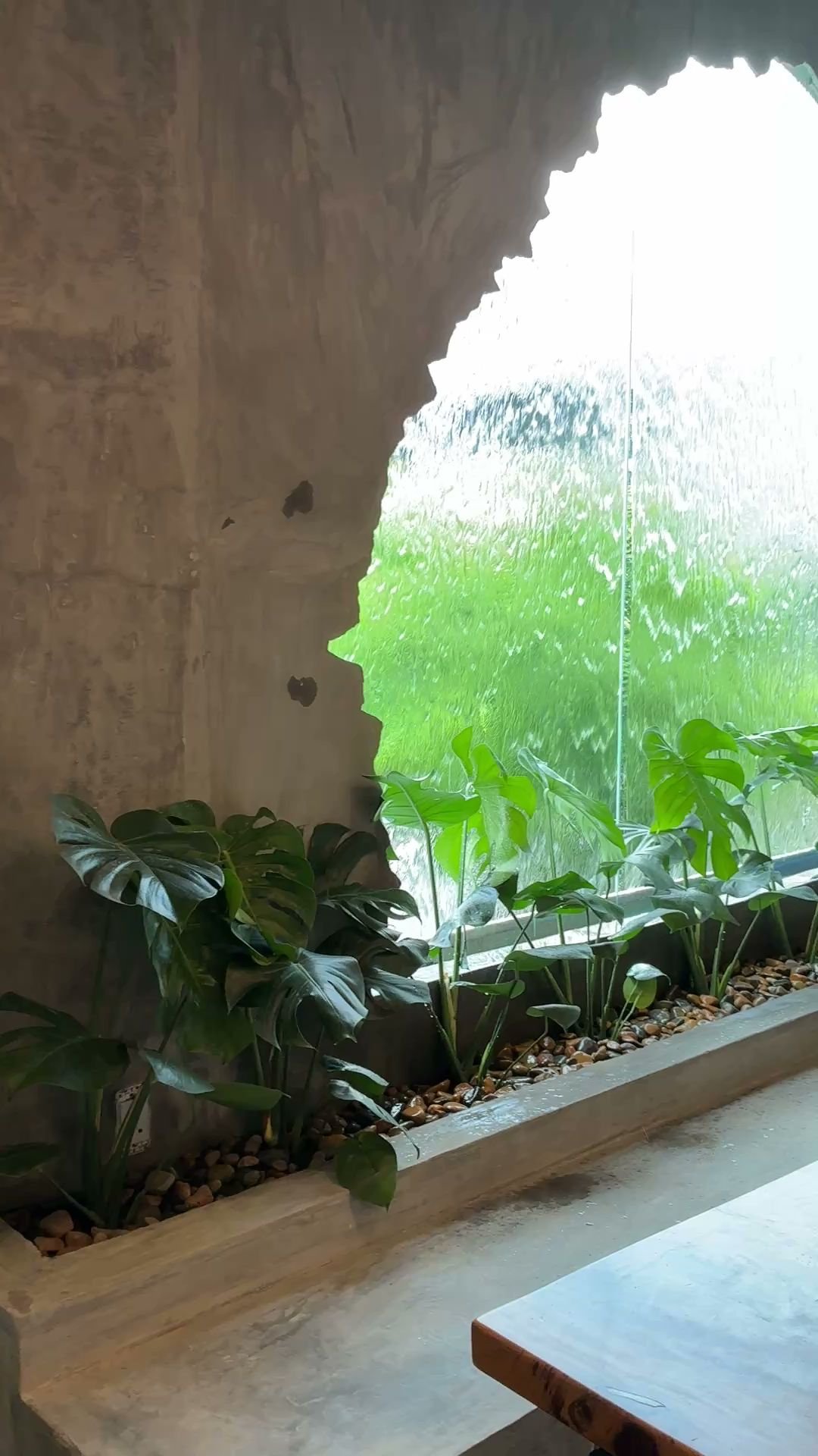 Dolphy Cafe photo 5 in Thao Dien