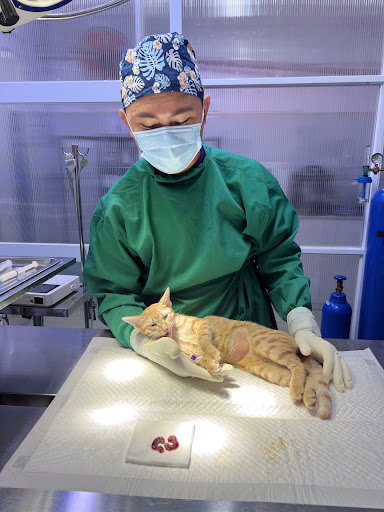Dr. Trinh International Animal Hospital photo 3 in Thao Dien
