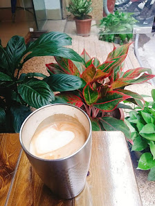 Dream Beans Coffee Roastery photo 6 in Thao Dien