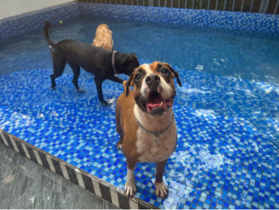 Etti Pet Grooming Pet boarding service in Ha Noi - exterior