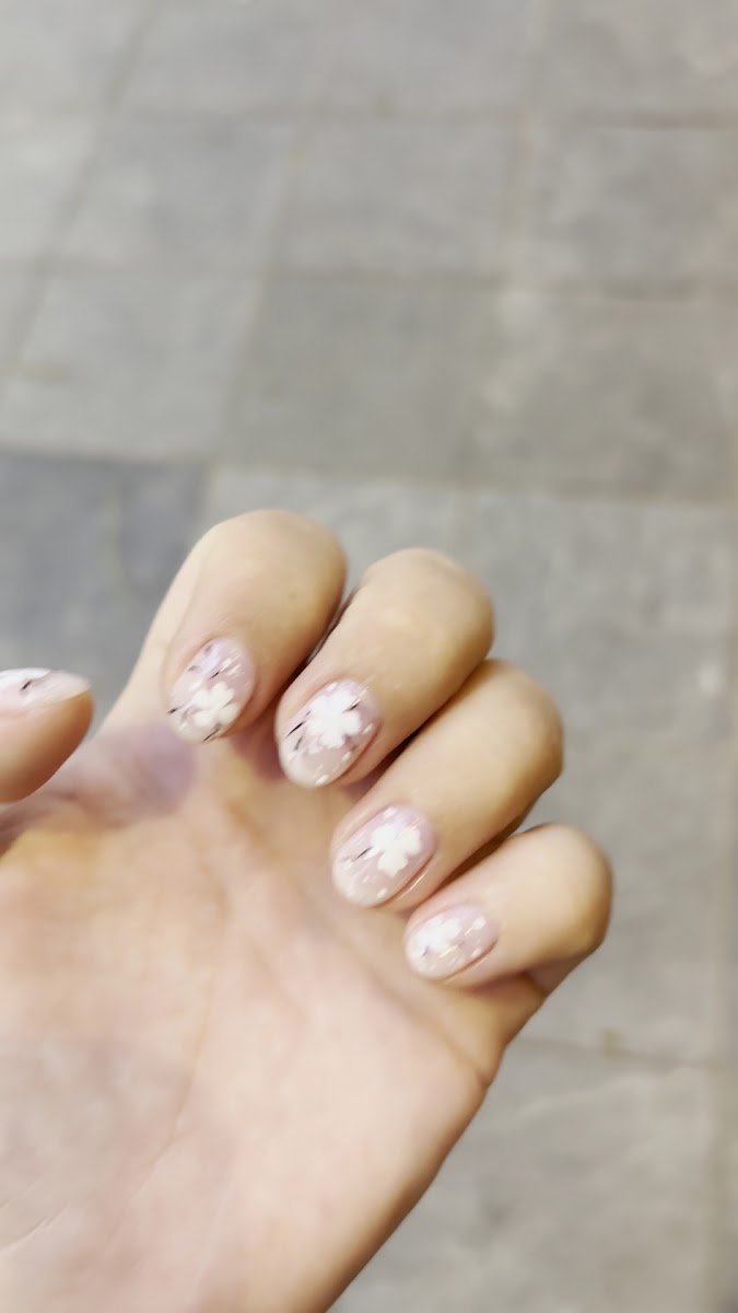 Euphorea Salon and Spa - La Chapelle photo 4 in Ha Noi