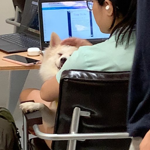 Every Half Roastery Thảo Điền photo 15 in Thao Dien