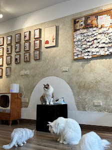 Geisha Cat Cafe photo 3 in Thao Dien