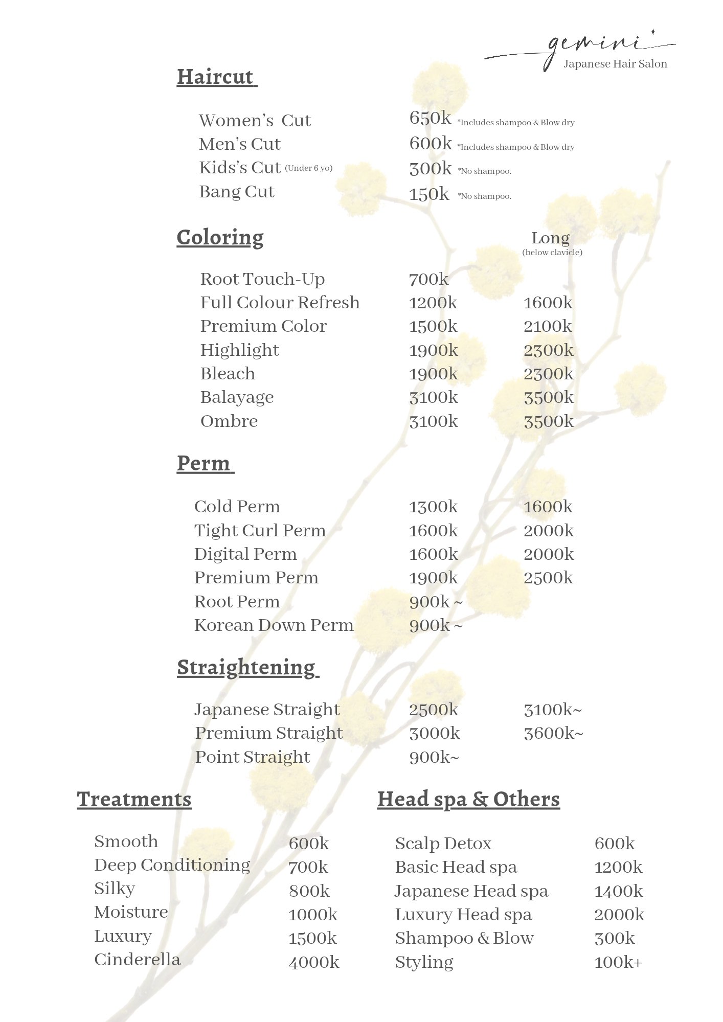 gemini Japanese Hair Salon photo 4 in Thao Dien