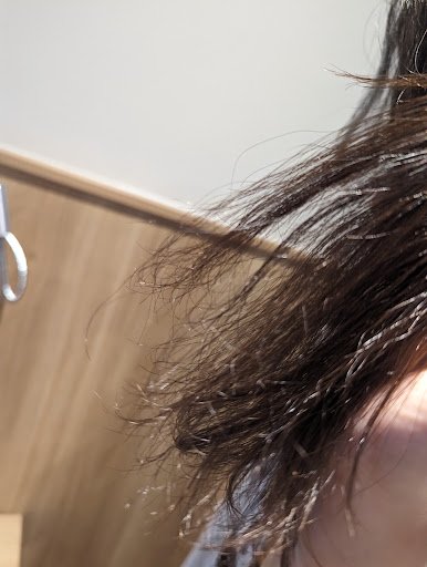 gemini Japanese Hair Salon photo 6 in Thao Dien
