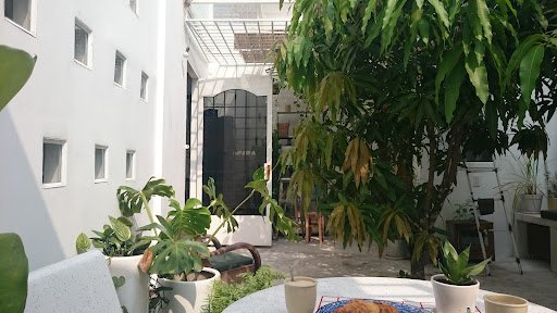 Green Around the Corner photo 8 in Thao Dien