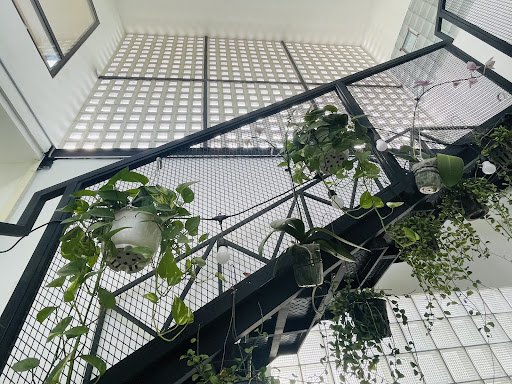 GUTA CAFE - Thảo Điền photo 3 in Thao Dien