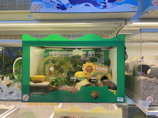 Hamster KingDom Bình Thạnh - Shop Hamster giá rẻ Bình Thạnh - Phụ kiện Hamster giá rẻ Bình Thạnh Pet store in Ho Chi Minh City - exterior