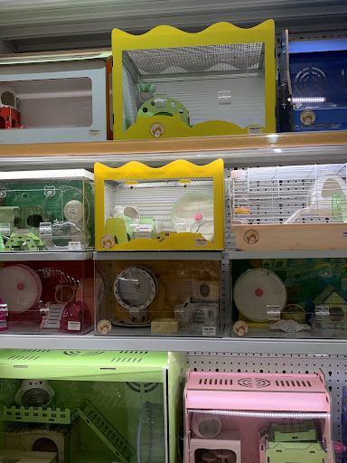 Hamster KingDom Bình Thạnh - Shop Hamster giá rẻ Bình Thạnh - Phụ kiện Hamster giá rẻ Bình Thạnh photo 3 in Thao Dien