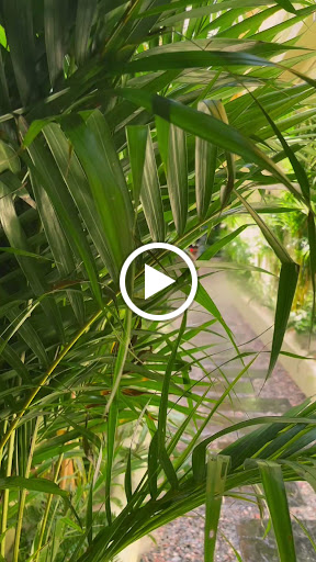 Hidden Charm Restaurant photo 5 in Thao Dien