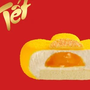 Fortune Apricot Mousse