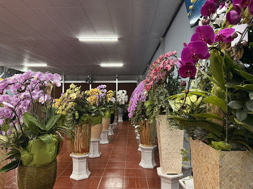 Hoa Lan Thanh Hà Cửa Hàng 2 in Saigon