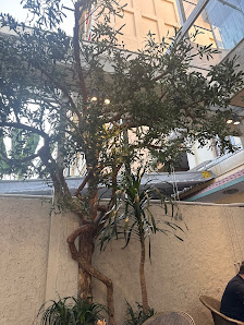 The image depicts an outdoor area of a venue in Thao Dien, Saigon. It features a large tree with twisted branches and green foliage, positioned agains