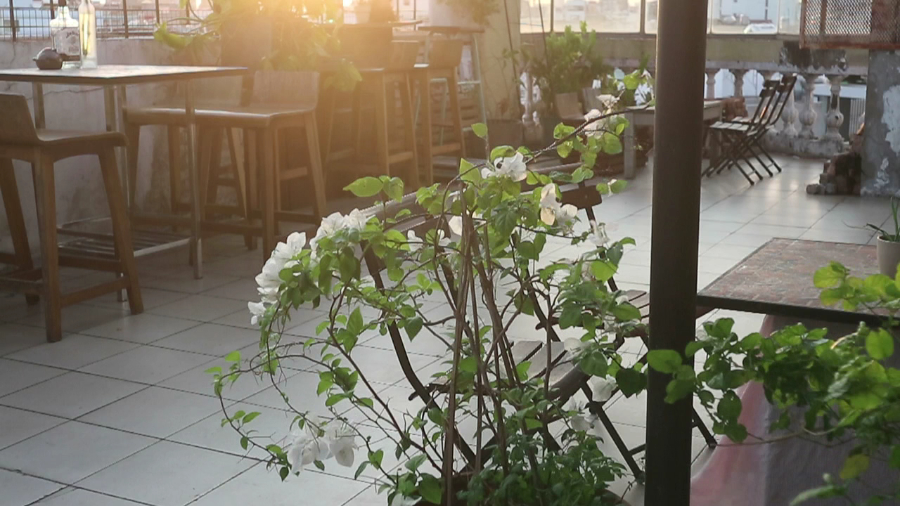 Hừng Hoa photo 8 in Thao Dien