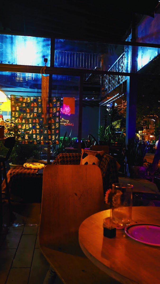 impurrfect (a cat dive bar) photo 7 in Thao Dien