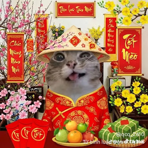 A cat dressed in traditional Chinese attire is sitting at a table adorned with various items that suggest an Asian cultural theme.