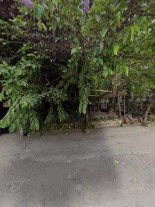 The image shows an outdoor area with greenery and a structure partially obscured by foliage in the background.
